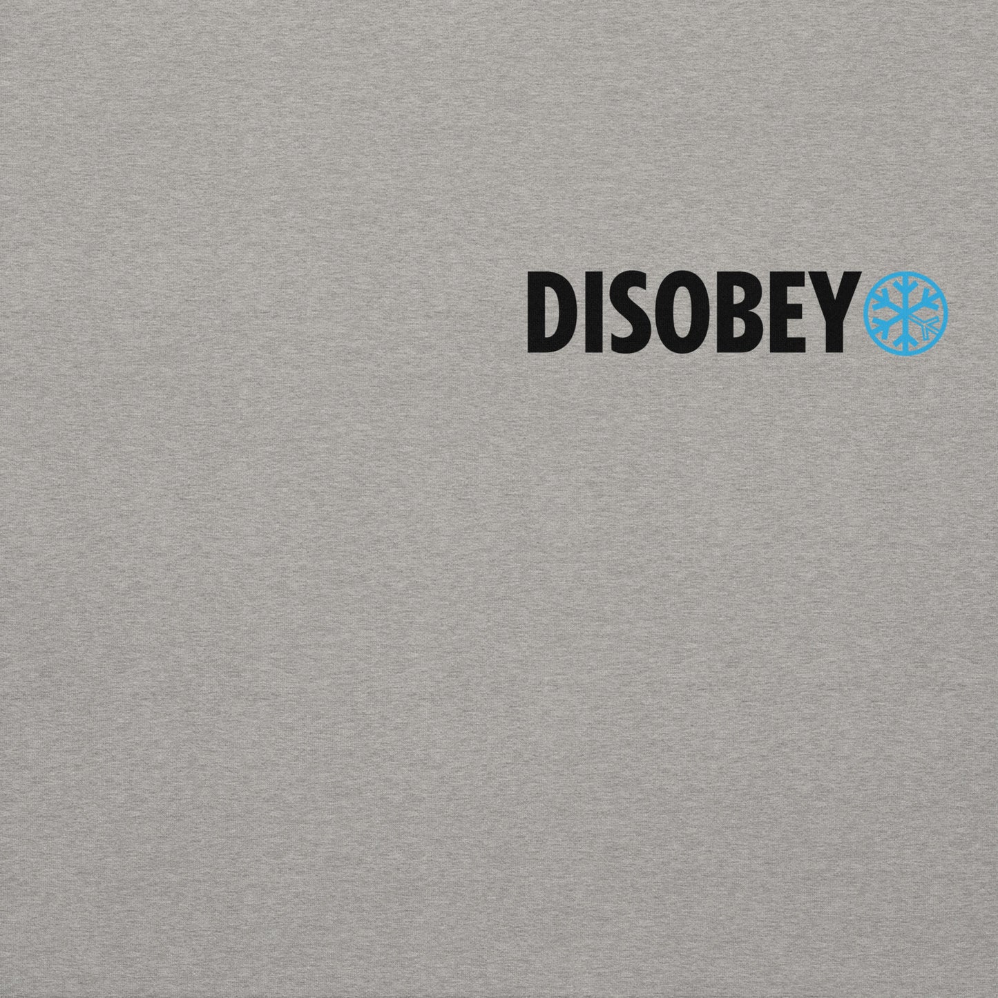 Gray-Pixel Disobey Tee from B.Different Clothing, front graphic, graffiti-inspired streetwear, oversized heavyweight t-shirt