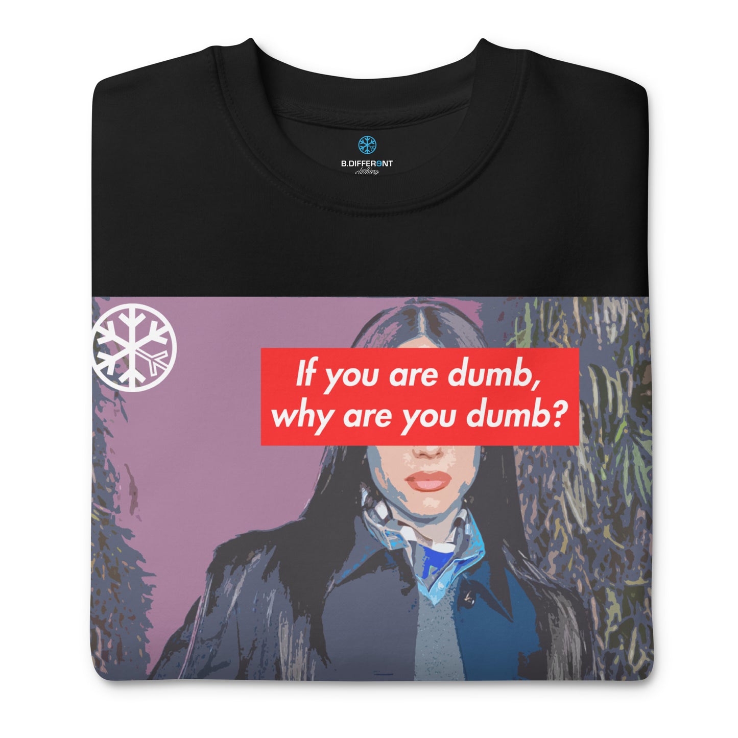 Black-Why Are You Dumb Sweatshirt from B.Different Clothing, folded, graffiti-inspired streetwear