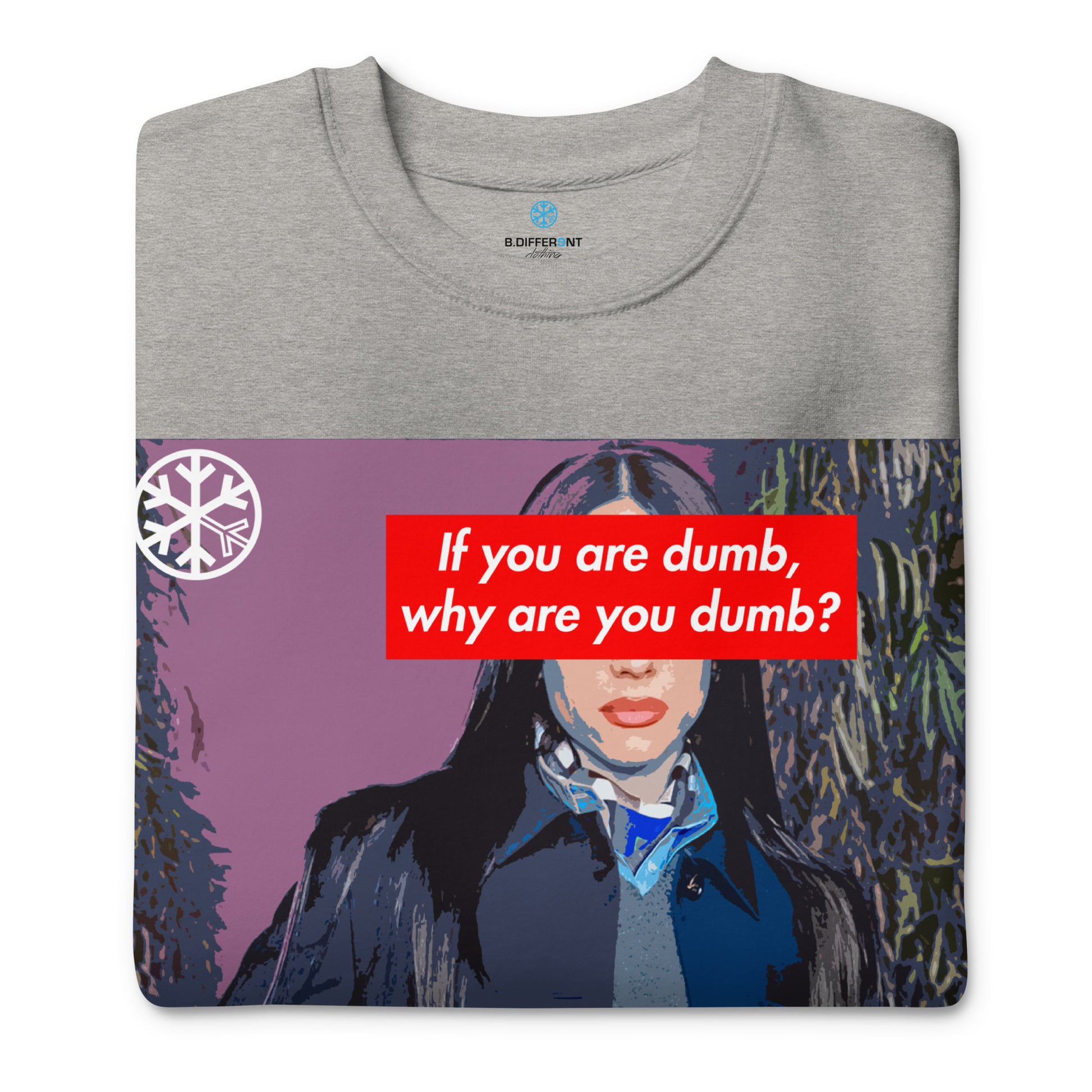 Gray-Why Are You Dumb Sweatshirt from B.Different Clothing, folded, graffiti-inspired streetwear