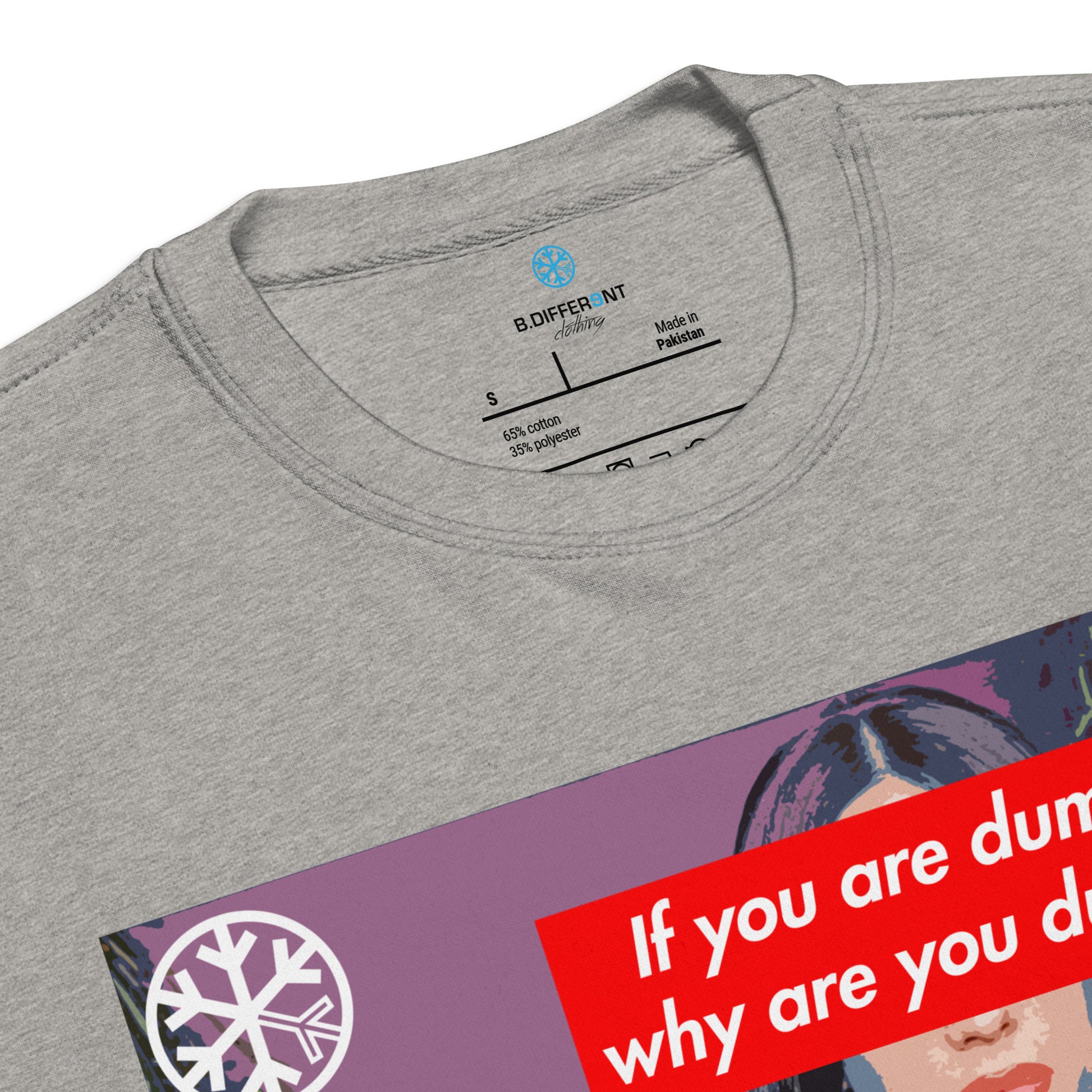 Gray-Why Are You Dumb Sweatshirt from B.Different Clothing, collar, graffiti-inspired streetwear