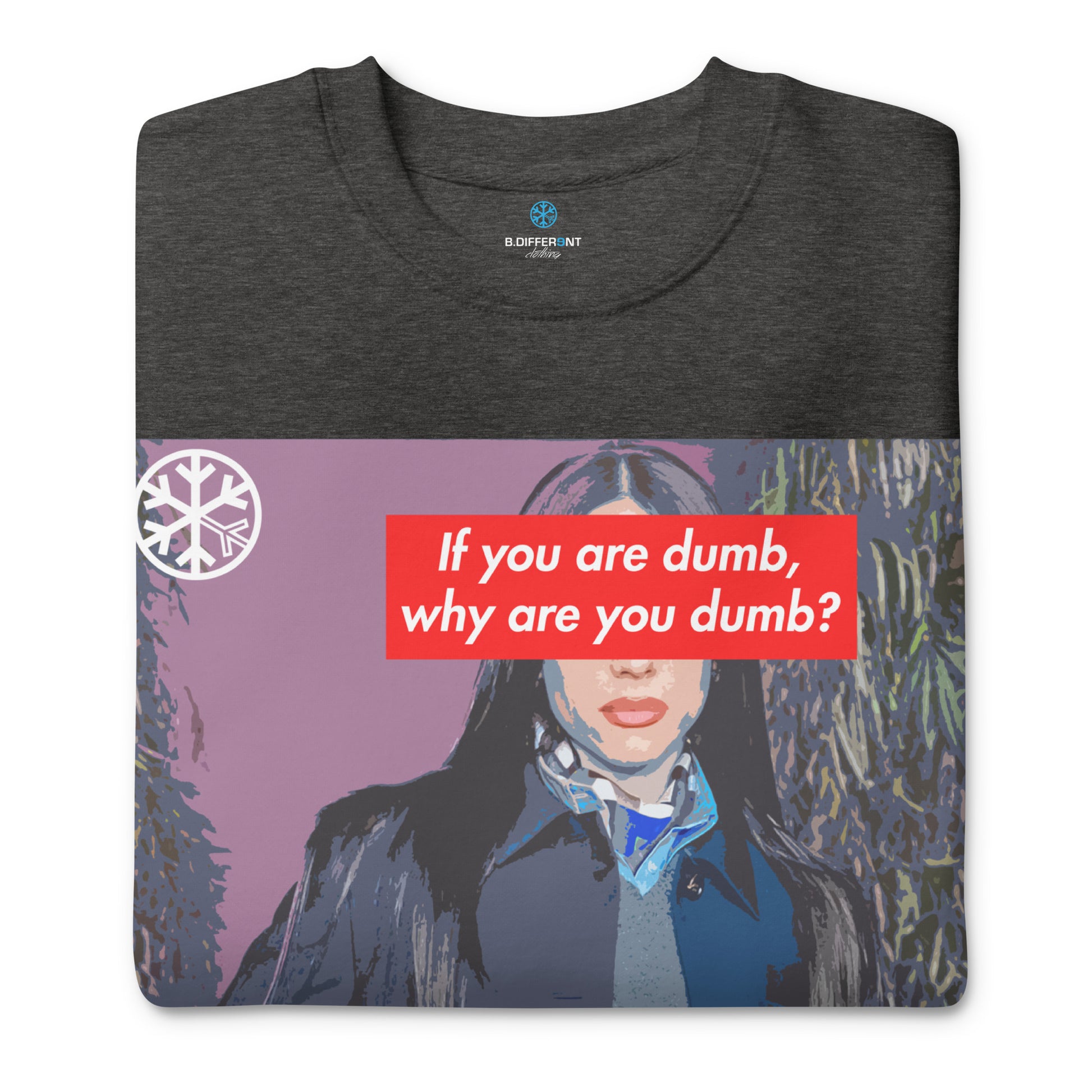 Darkgray-Why Are You Dumb Sweatshirt from B.Different Clothing, folded, graffiti-inspired streetwear