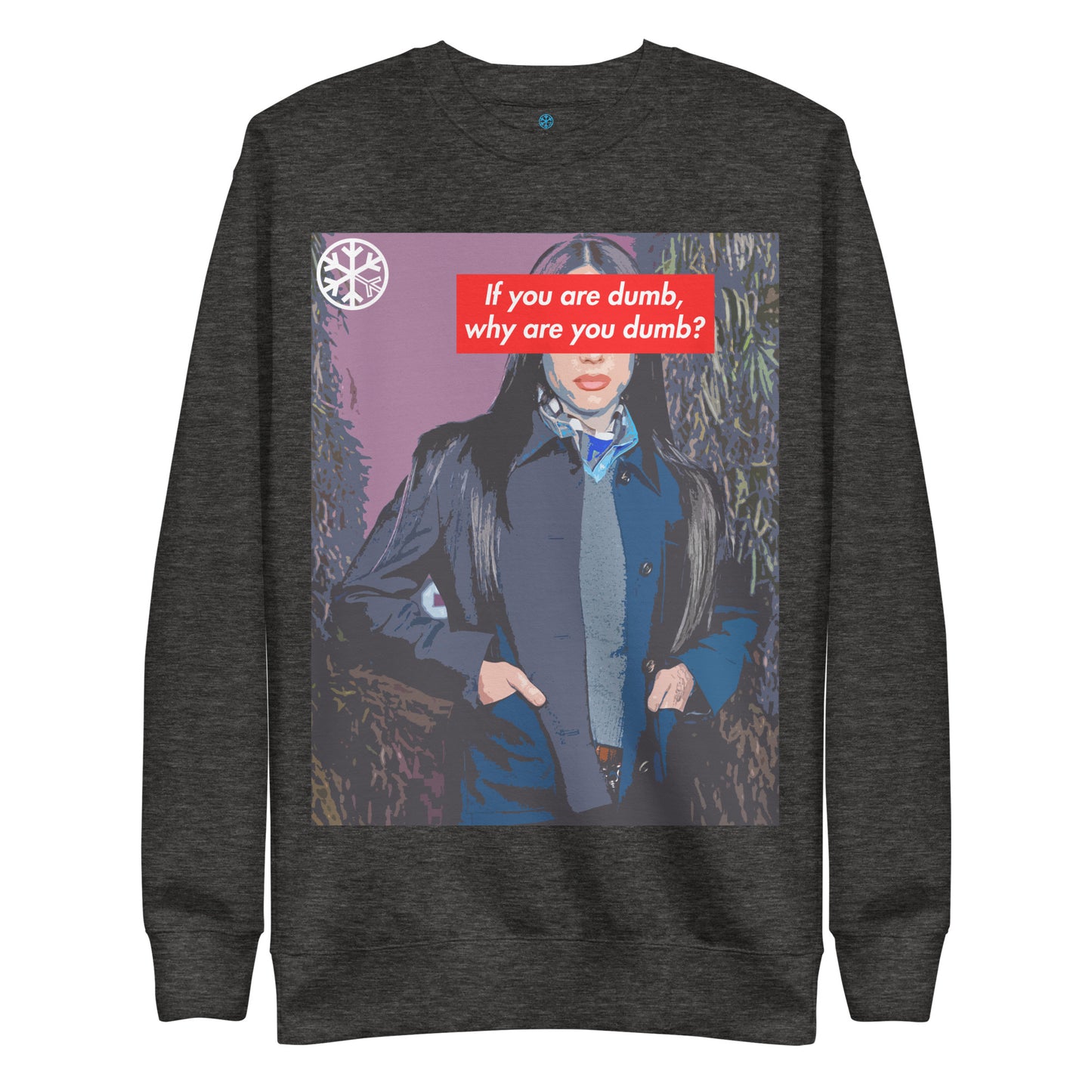 Darkgray-Why Are You Dumb Sweatshirt from B.Different Clothing, front view, graffiti-inspired streetwear