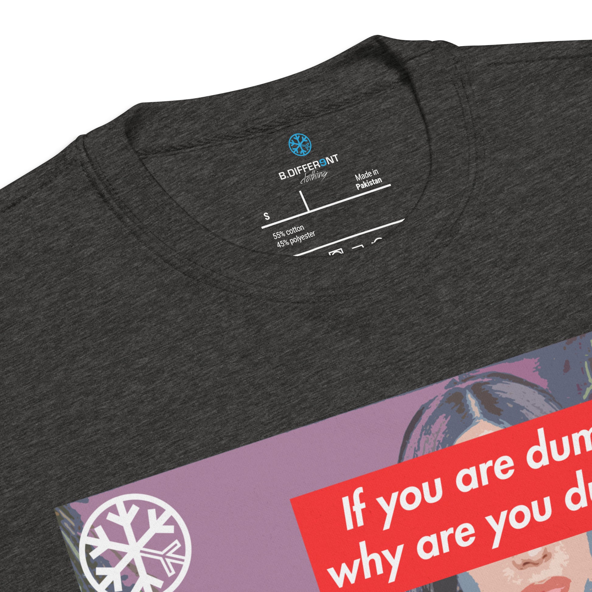 Darkgray-Why Are You Dumb Sweatshirt from B.Different Clothing, collar, graffiti-inspired streetwear