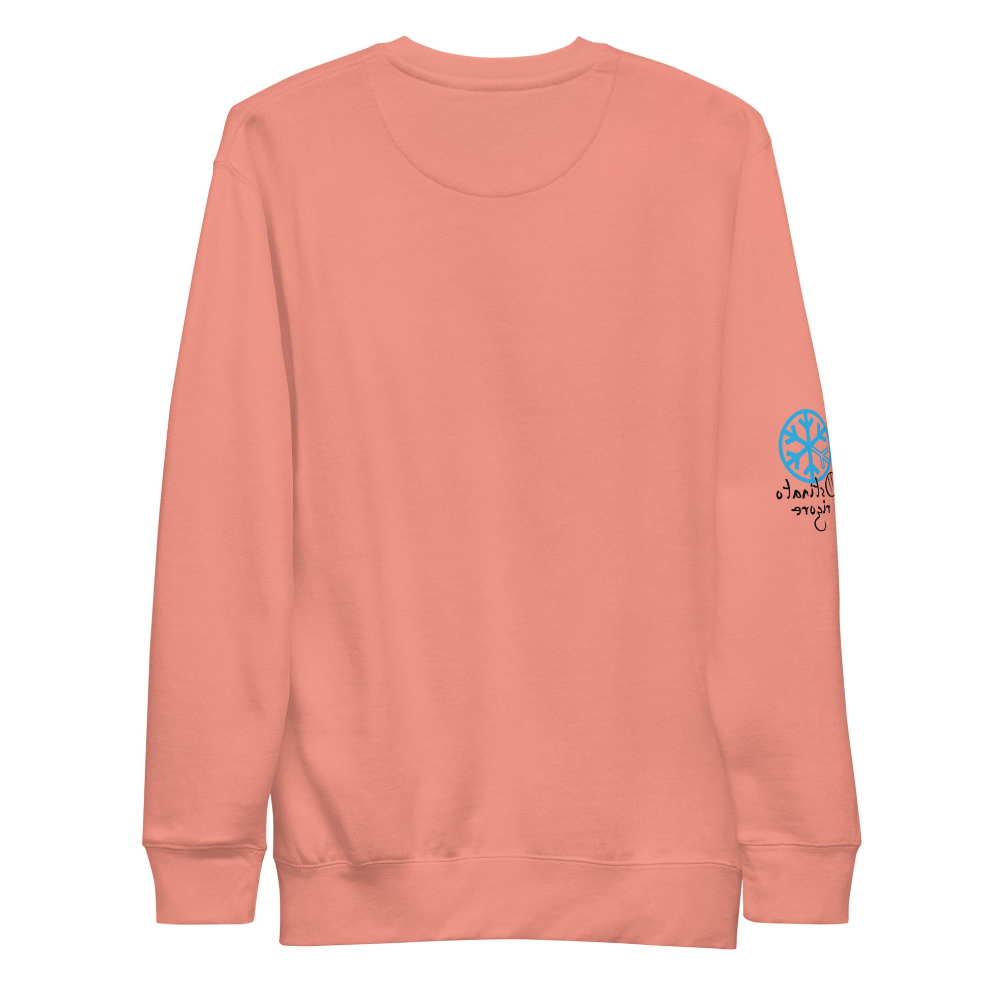 Pink-Leonardo da Vinci Sweatshirt from B.Different Clothing, back view, graffiti-inspired streetwear