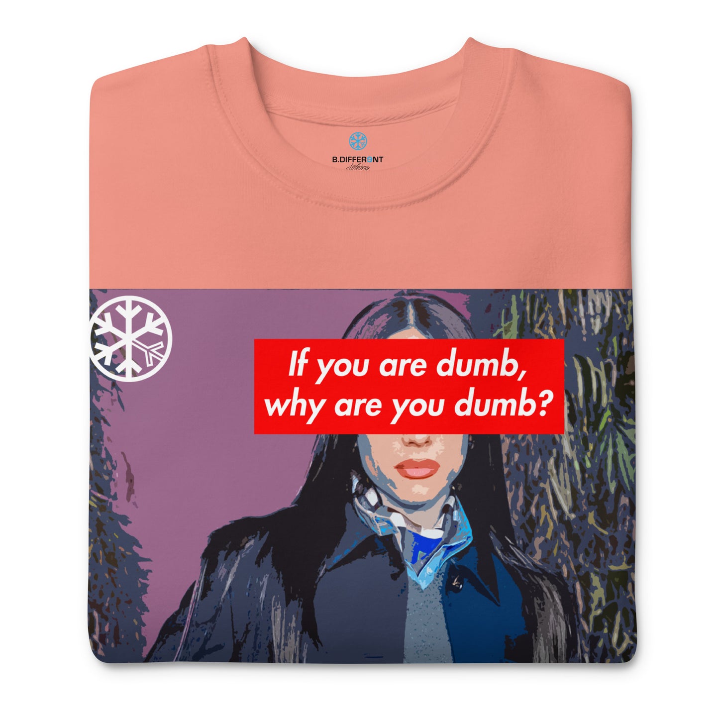 Pink-Why Are You Dumb Sweatshirt from B.Different Clothing, folded, graffiti-inspired streetwear