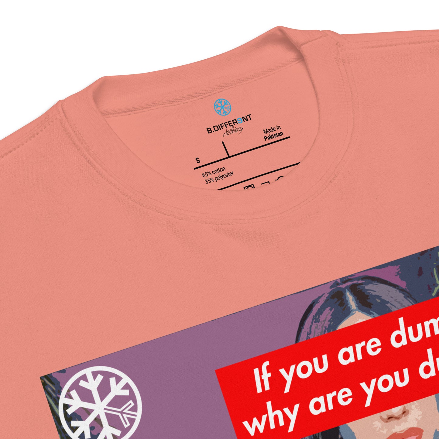 Pink-Why Are You Dumb Sweatshirt from B.Different Clothing, collar, graffiti-inspired streetwear