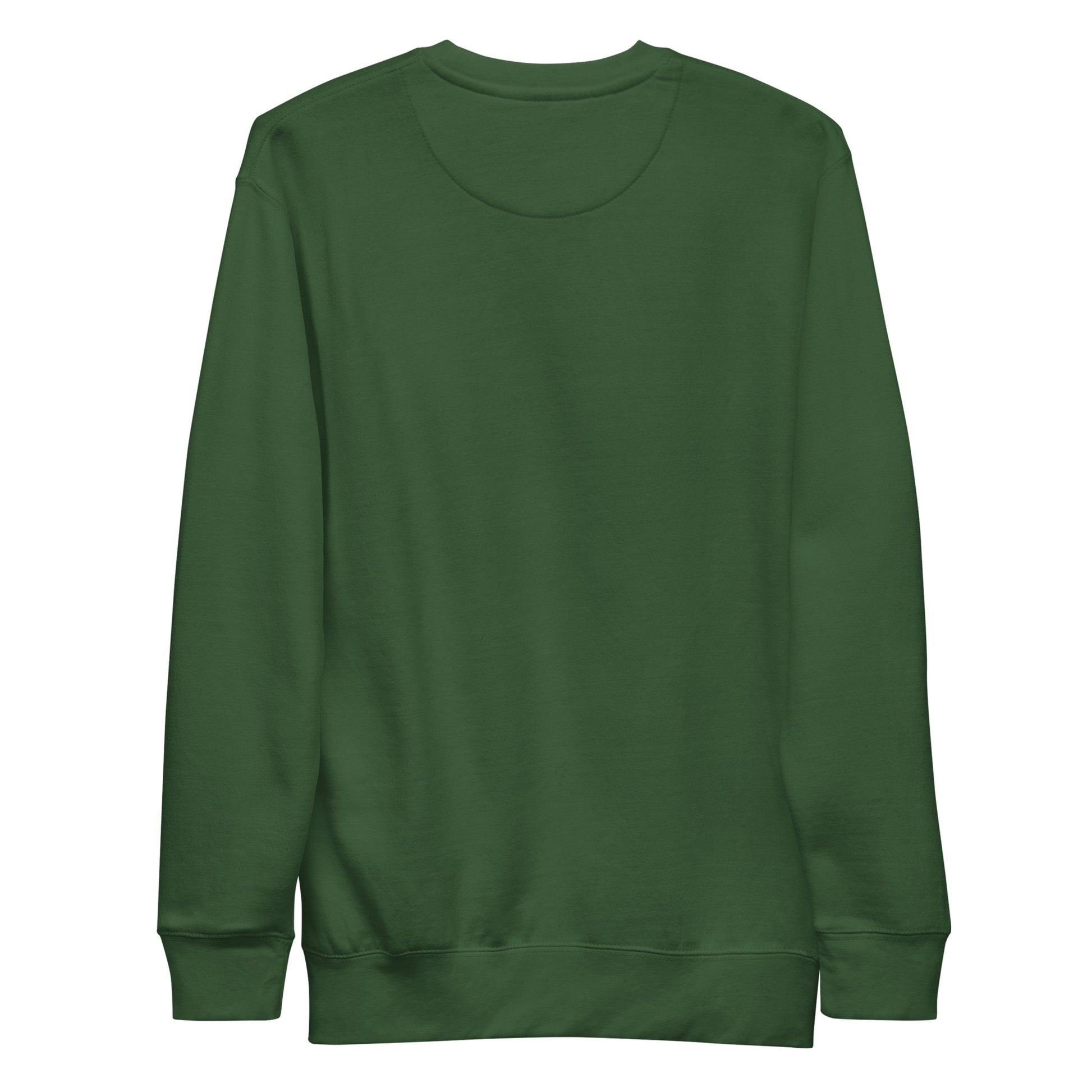 Forest Green-Super Weird Bros Sweatshirt from B.Different Clothing, back view, graffiti-inspired streetwear