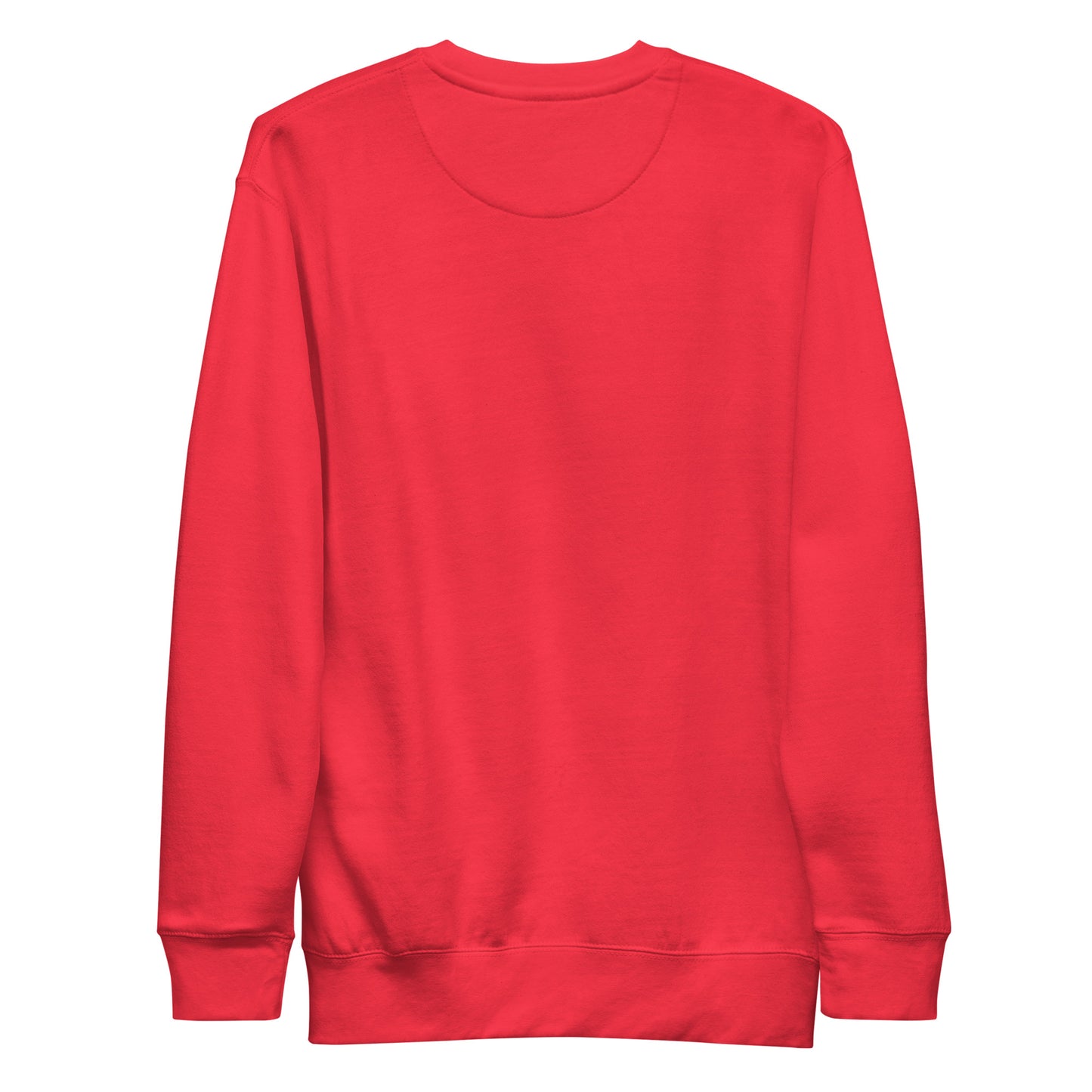 Team Red-Super Weird Bros Sweatshirt from B.Different Clothing, back view, graffiti-inspired streetwear