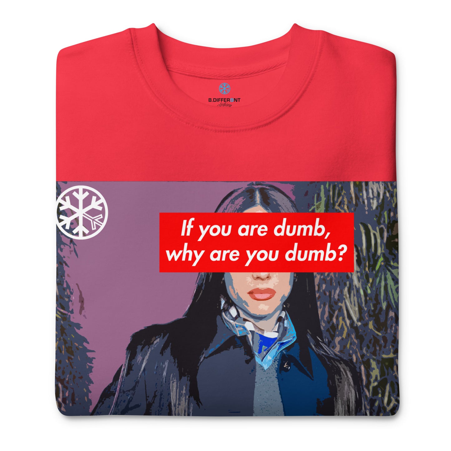 Red-Why Are You Dumb Sweatshirt from B.Different Clothing, folded, graffiti-inspired streetwear