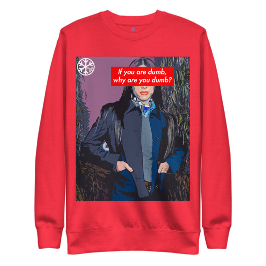 Red-Why Are You Dumb Sweatshirt from B.Different Clothing, front view, graffiti-inspired streetwear