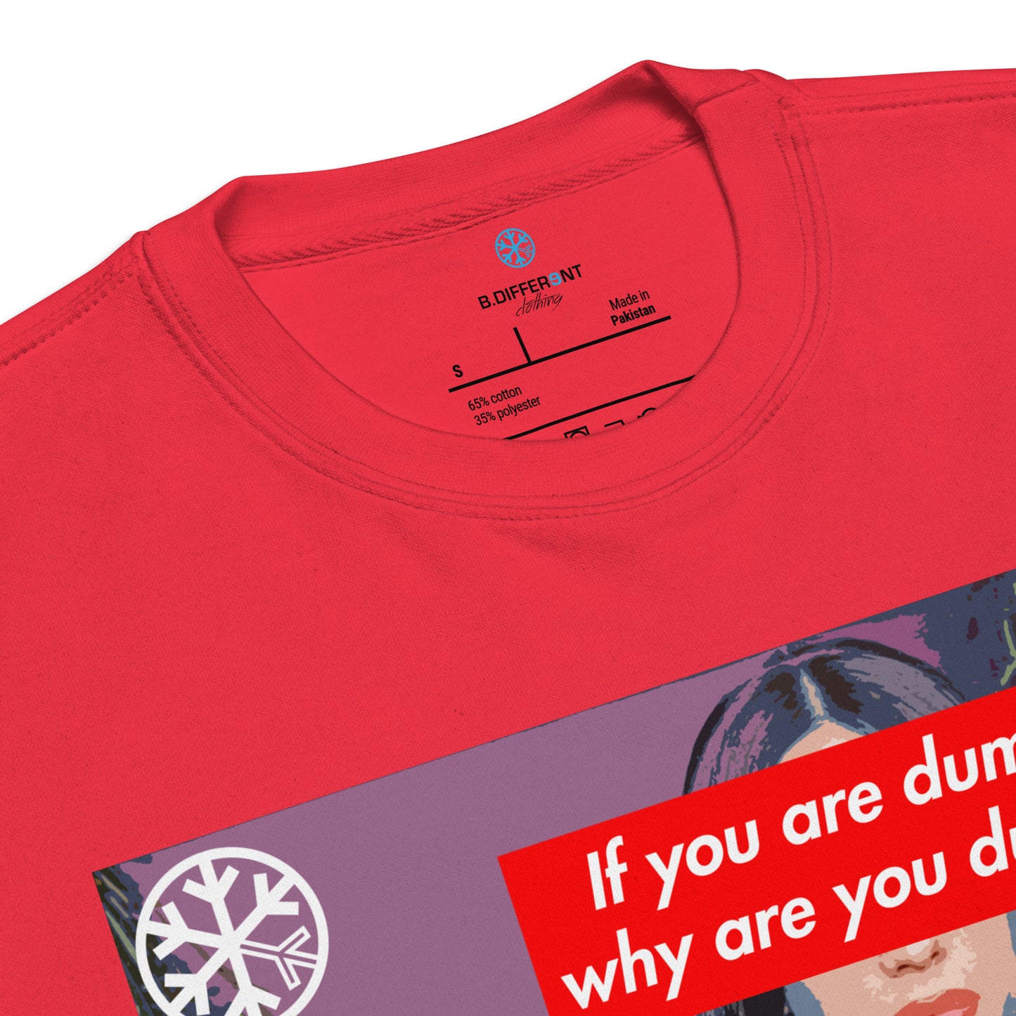 Red-Why Are You Dumb Sweatshirt from B.Different Clothing, collar, graffiti-inspired streetwear