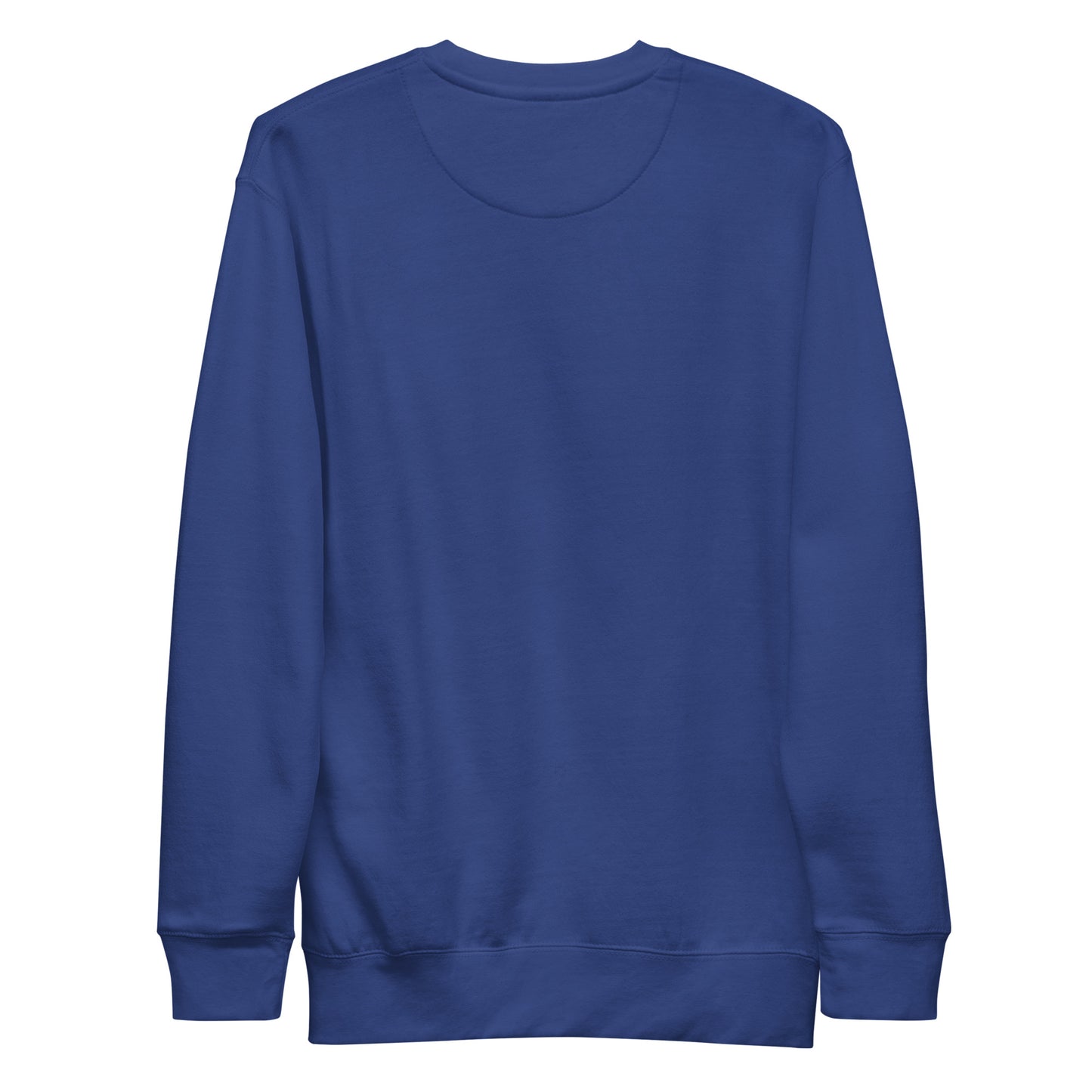 Team Royal-Super Weird Bros Sweatshirt from B.Different Clothing, back view, graffiti-inspired streetwear