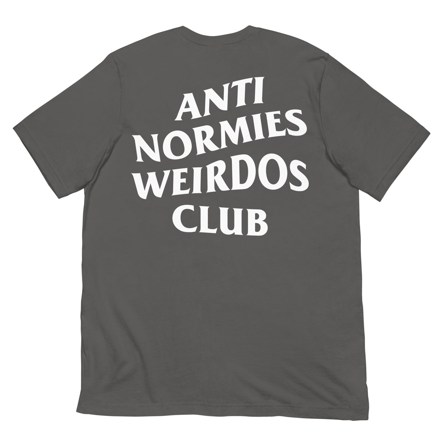 Gray-Anti Normies Weirdos Club Tee from B.Different Clothing, back view, graffiti-inspired streetwear t-shirt