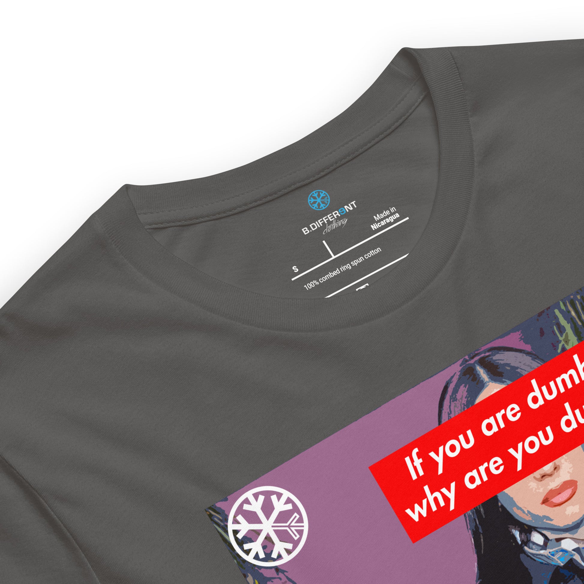 Gray-Why Are You Dumb Tee from B.Different Clothing, collar, graffiti-inspired streetwear t-shirt